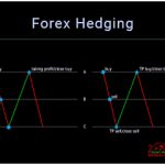 Forex Hedging: Strategies and Functions