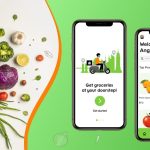 Pricing Insights for Building a Grocery Delivery App Similar to Instacart