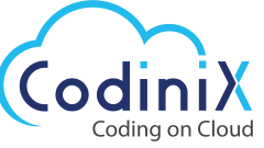 NetSuite Development Services – Codinix Technologies